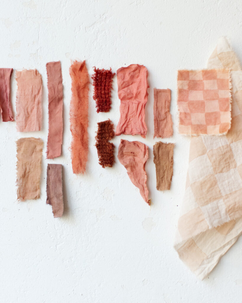Rot und Rosa färben mit Pilzne, mit den Cortinarien
