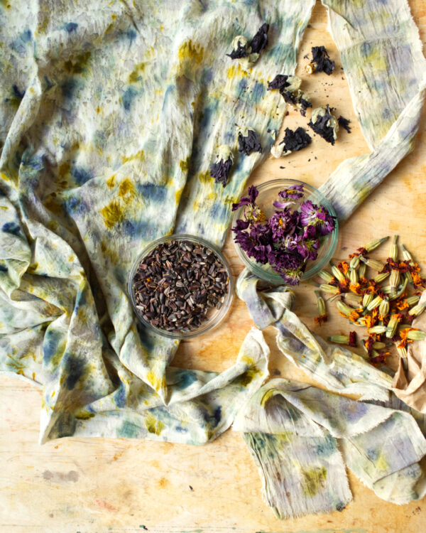 Färbeset Bundle Dye Tuch mit Blumen und Samen gefärbt in Graublau-Tönen